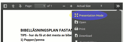 Hjälp för att kunna se en PDF i fullskärm